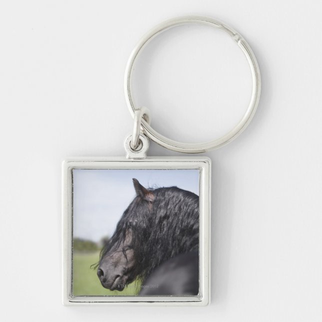 Chaveiro retrato do cavalo preto com juba longa (Frente)