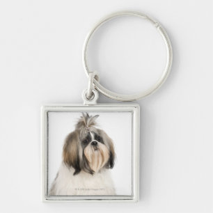 Chaveiro Retrato do estúdio de Shih Tzu