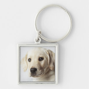 Chaveiro Retrato do filhote de cachorro louro de labrador