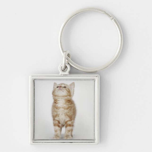 Chaveiro Retrato do gatinho que olha acima (Frente)