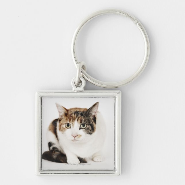 Chaveiro Retrato do gato de chita (Frente)