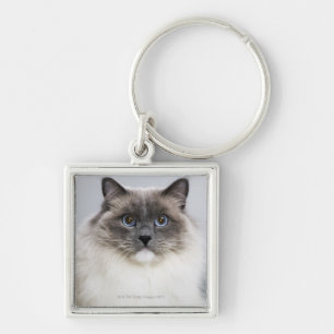 Chaveiro Retrato do gato de Ragdoll