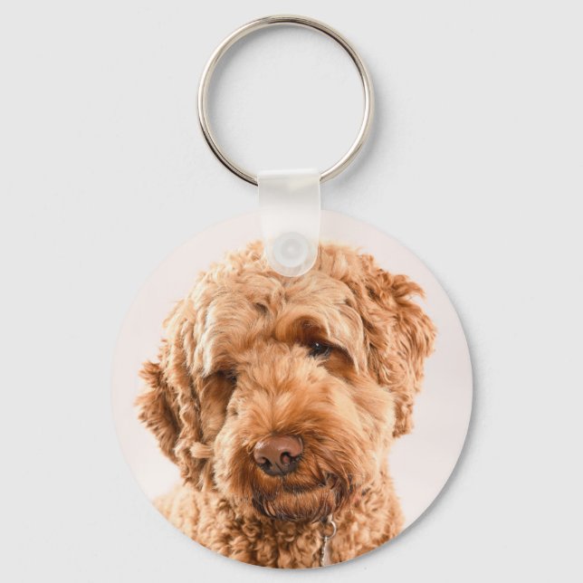Chaveiro Retrato do Goldendoodle Studio (Frente)