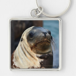 Chaveiro Retrato do Leão do Mar