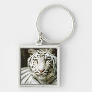 Chaveiro Retrato do tigre
