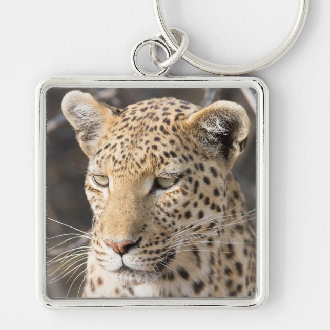 Chaveiro Retrato leopardo (Frente)