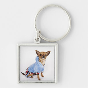 Chaveiro Retrato subtil de uma chihuahua 2 do Teacup