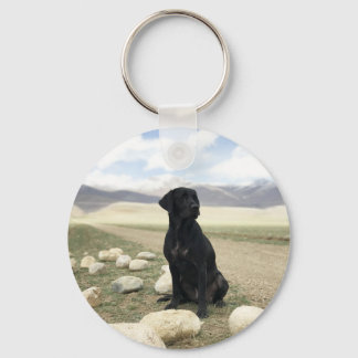 Chaveiro Retriever Black Labrador Personalizável
