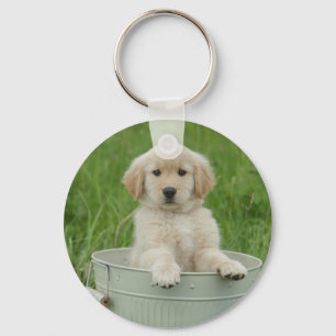 Chaveiro Retriever De Ouros Em Lavagem