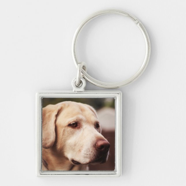 Chaveiro Retriever Labrador (Frente)