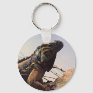 Chaveiro Rhinoceros Iguana