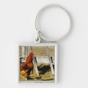 Chaveiro Rhode Island Red Rooster