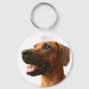 Chaveiro Rhodesian Ridgeback