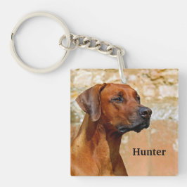 Chaveiro Ridgeback Dog