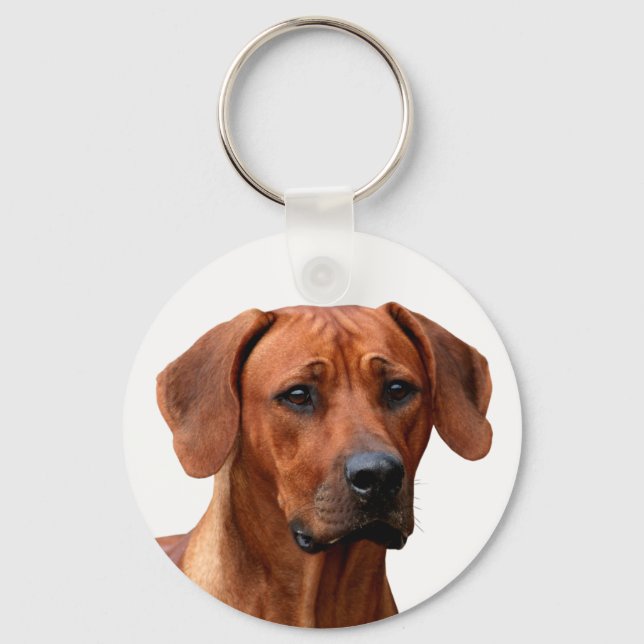 Chaveiro Ridgeback Rhodesian Sleutelhanger (Frente)