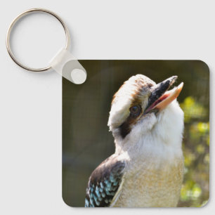 Chaveiro Rindo de Kookaburra empoleirado no Squ postal