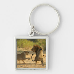 Chaveiro Rio de Timbavati, parque nacional de Kruger,