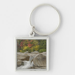 Chaveiro Rio Swift em cascata através de pedras, Branco