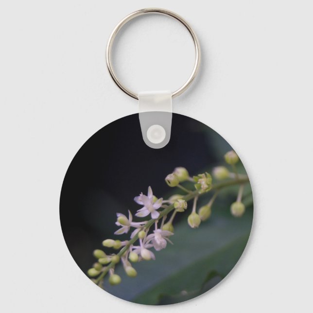 Chaveiro Rivina humilis (Frente)