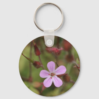 Chaveiro robertskruid