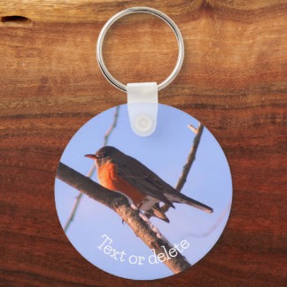 Chaveiro Robin In Snow Wildlife Nature Personalizado