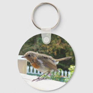 Chaveiro Robin Key Chain
