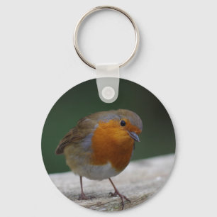 Chaveiro Robin Key Ring