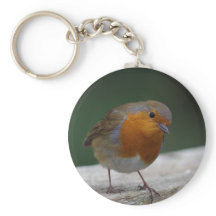 Robin Key Ring