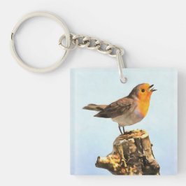 Chaveiro Robin singing 