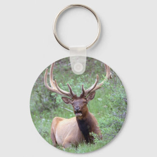 Chaveiro Rocky Mountain Elk