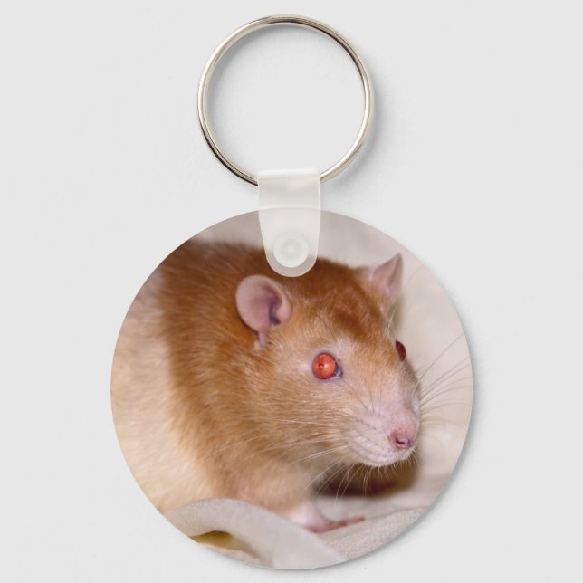 Chaveiro Rolando Keyring (Frente)