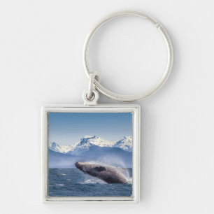 Chaveiro Rompendo a baleia de Humpback em Alaska