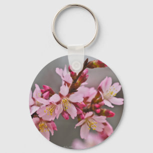 Chaveiro Rosa Contra Um Céu Cinza Flor de Cerejeira Japones