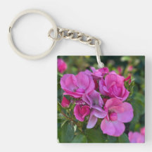 Rosa Rosa Rosa lavanda