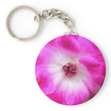 Rosas de Iceberg rosa