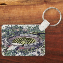 Rose Bowl Southampton Cricket Ground Artistic