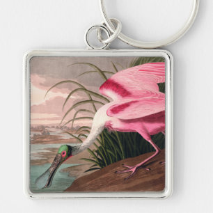 Chaveiro Roseate Spoonbill Audubon Bird Willife