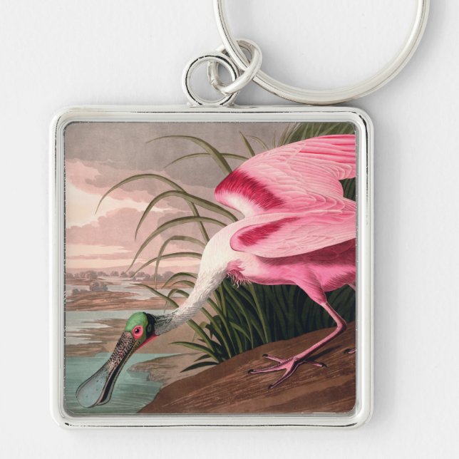 Chaveiro Roseate Spoonbill Audubon Bird Willife (Frente)