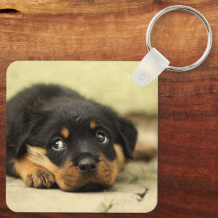Chaveiro Rottweiler