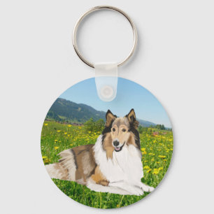 Chaveiro Rough Collie contra um campo de amanteparo.