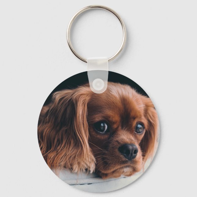 Chaveiro Ruby Cavalier King Charles Spaniel Dog (Frente)