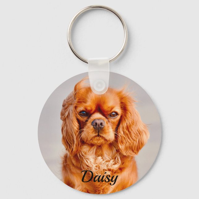 Chaveiro Ruby Cavalier King Charles Spaniel Dog (Frente)