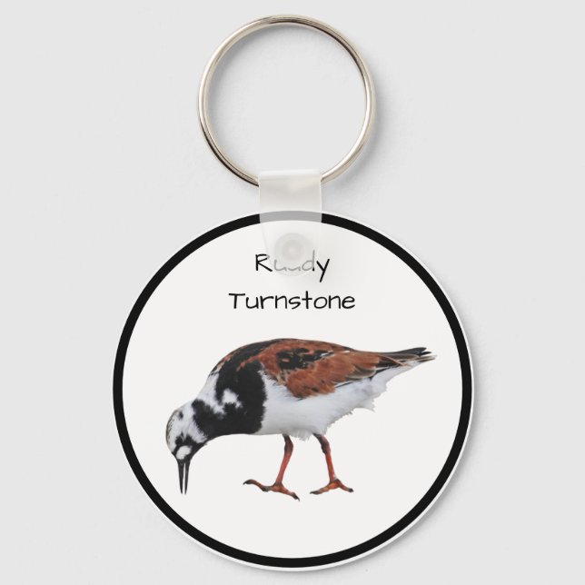 Chaveiro Ruddy Turnstone (Frente)