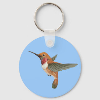 Chaveiro Rufous Hummingbird