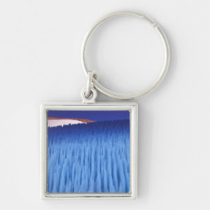 Chaveiro SA, Chile, Coquimbo Region, Nieve Penitente;