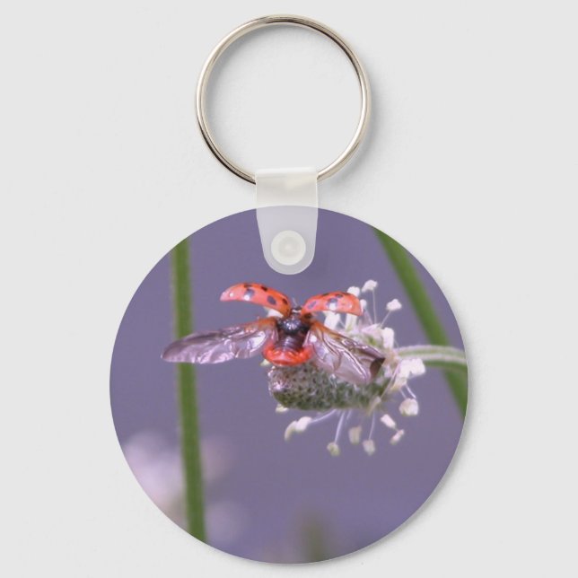 Chaveiro Saia para casa (Frente)