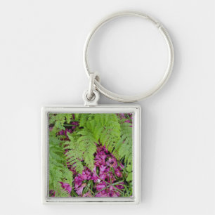 Chaveiro Samambaia florestal com pétalas de flores cor-de-r