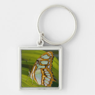 Chaveiro Sammamish, Washington, EUA