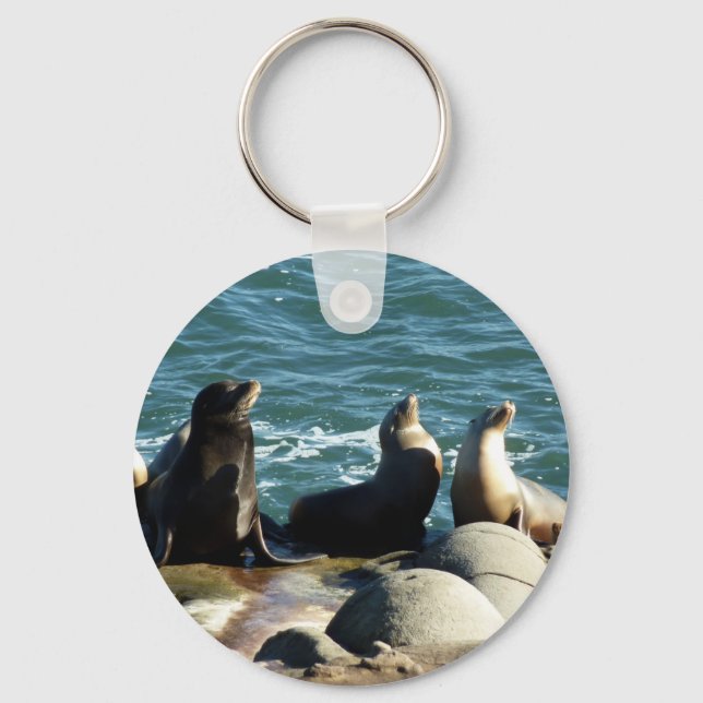 Chaveiro San Diego Sea Lions (Frente)