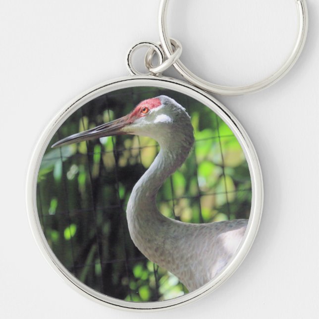 Chaveiro Sandhill Crane (Frente)